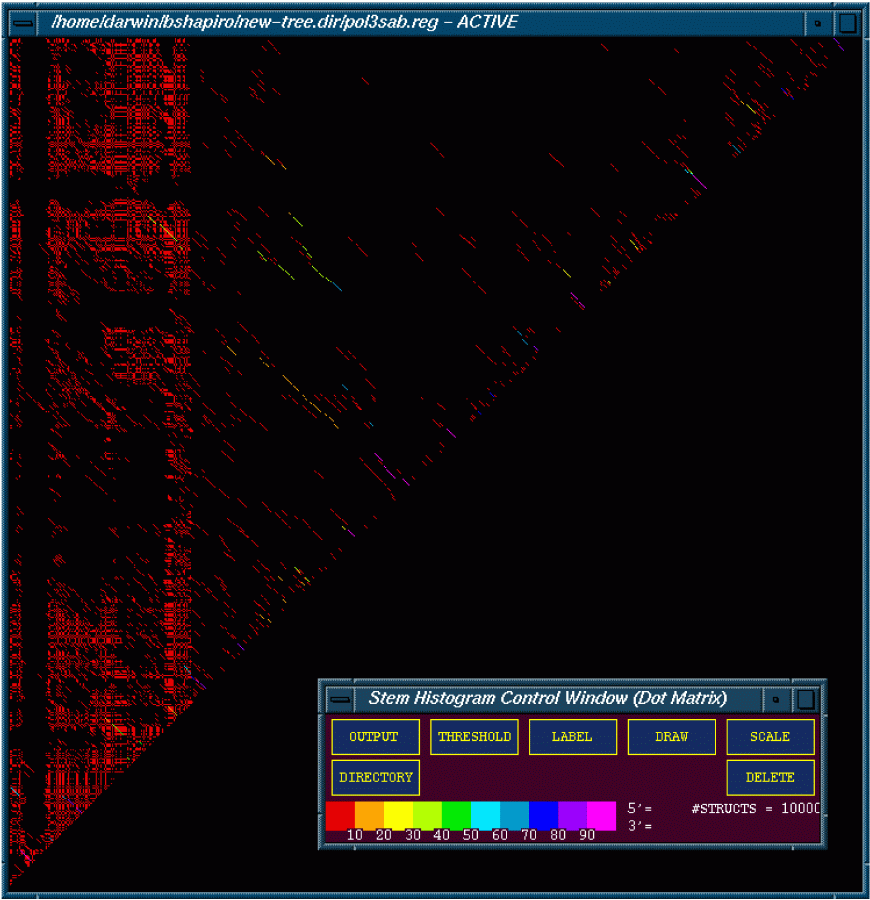 Stem Histogram of the Polio 3 Sabin Mfold Results