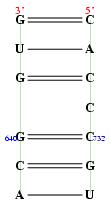 secondary structure of junction 1048