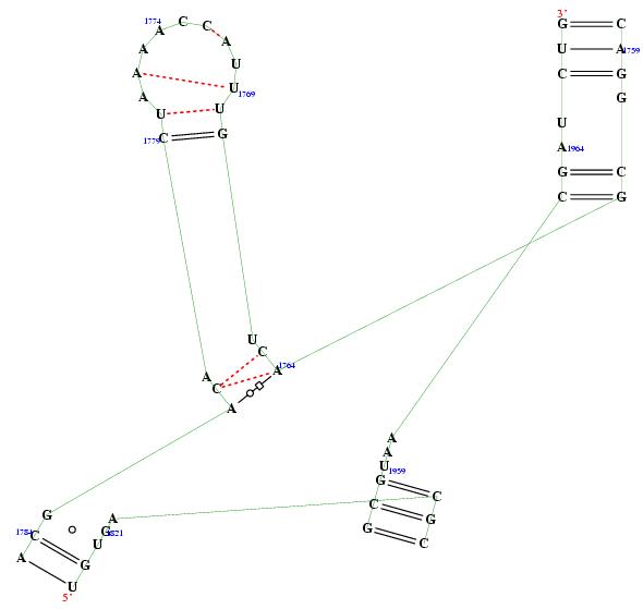 secondary structure of junction 3743