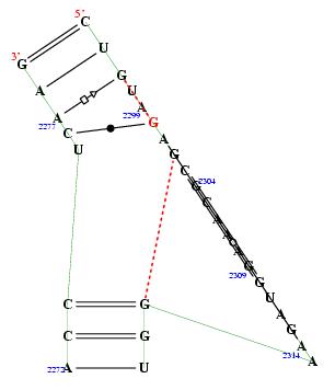 Hit refresh for a different example secondary structure of junction 5805