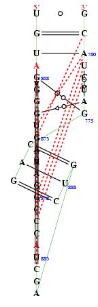 Hit refresh for a different example secondary structure of junction 7226